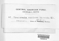 Image Associated With the Occurence